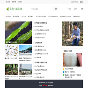 霍山石斛的功效与用法_霍山石斛多少钱一斤_霍山石斛网