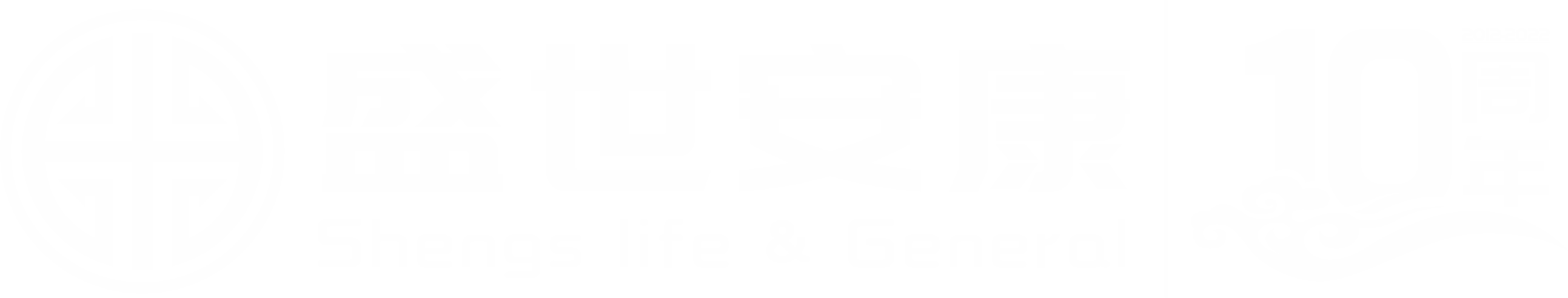 湖北盛世安康保险代理有限公司